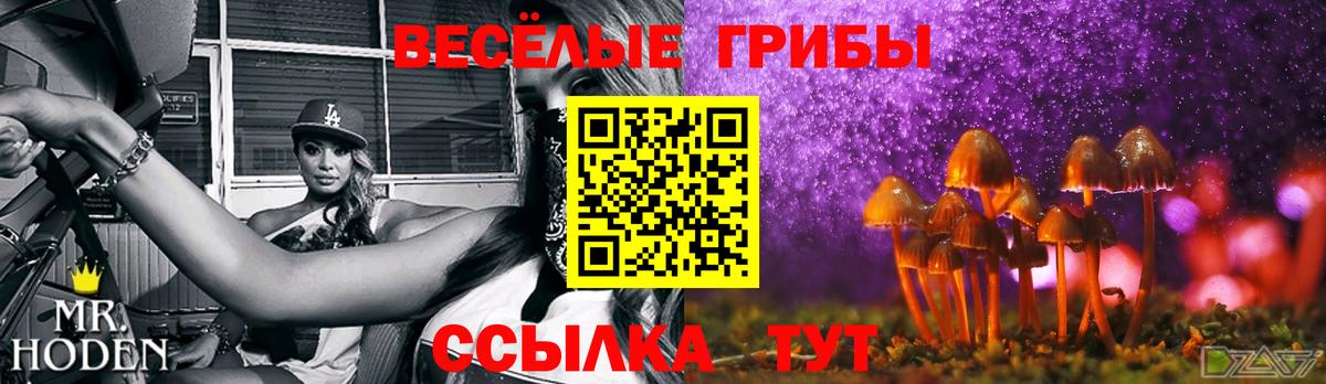 Галлюциногенные грибы Psilocybe Нерюнгри